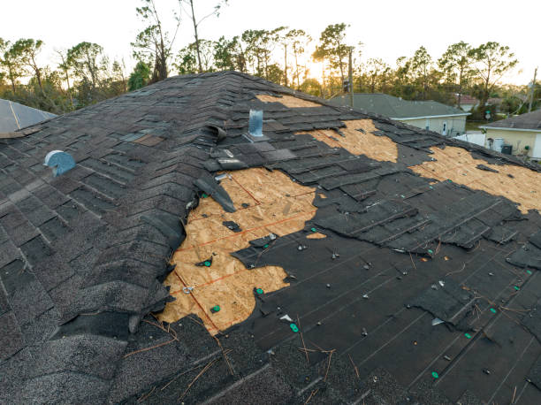 Asphalt Shingles Roofing in Hallandale Beach, FL